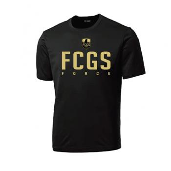 FCGS-FORCE-single-training